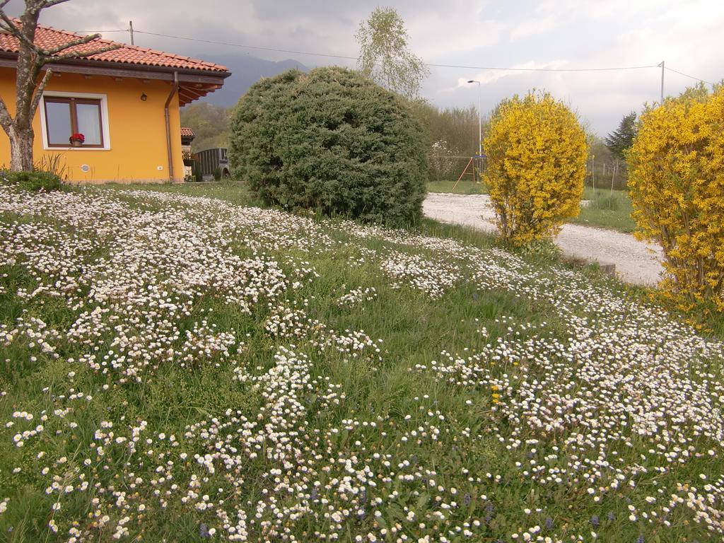 B&B Dolomitincanto Cesiomaggiore Esterno foto